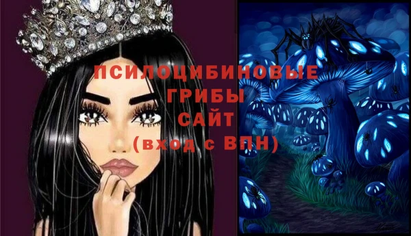 MDMA Premium VHQ Карталы