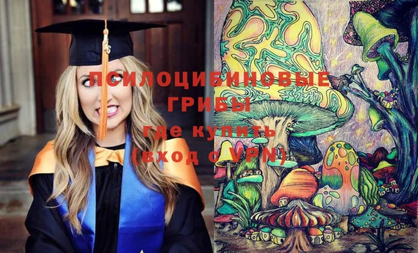 бошки Кинешма