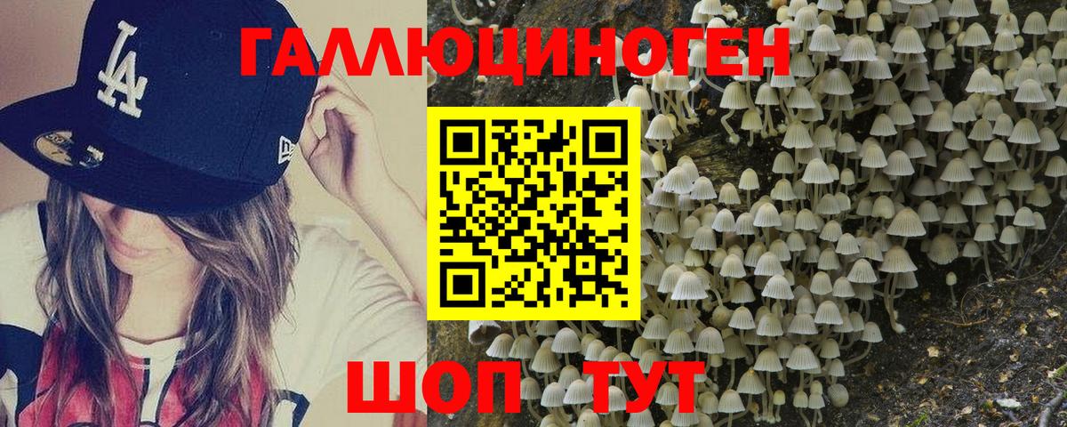 Галлюциногенные грибы мухоморы Энгельс